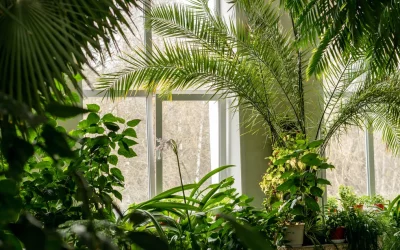 O que você precisa saber sobre Design Biofílico?